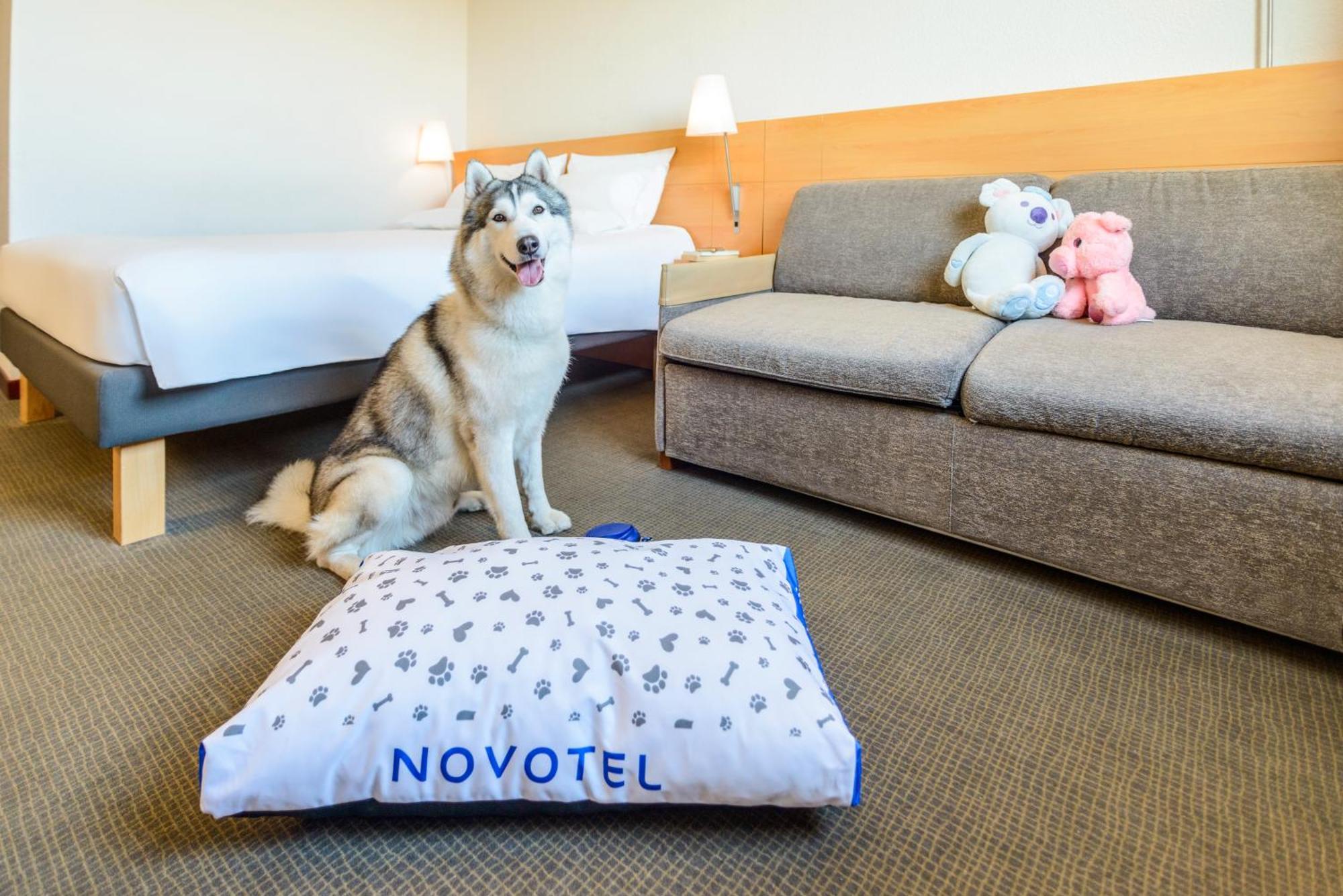 Novotel Torino Corso Giulio Cesare Εξωτερικό φωτογραφία