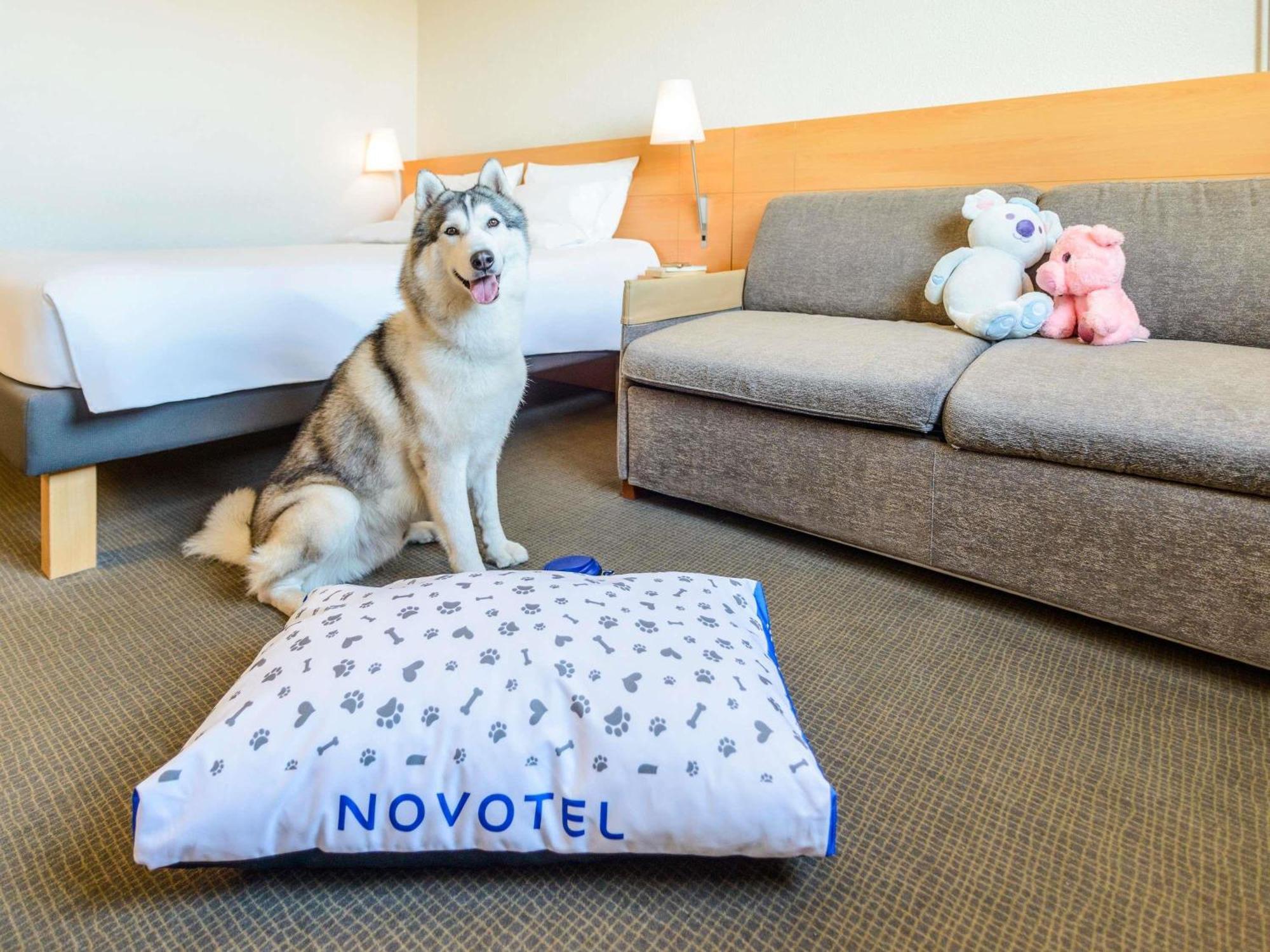 Novotel Torino Corso Giulio Cesare Εξωτερικό φωτογραφία
